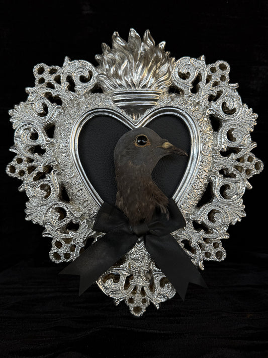 PIGEON HEAD - Silver Heart Mother of Hades Open Display Frame