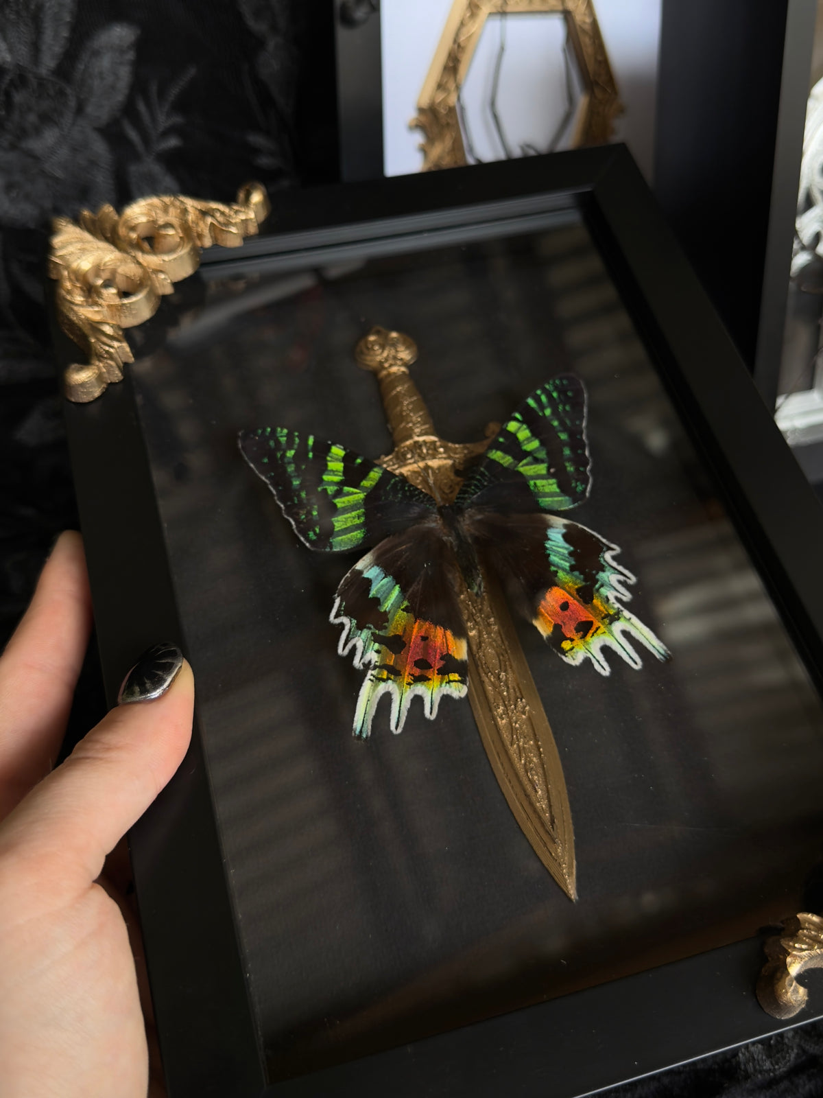 BY THE GOLDEN SWORD - Mother of Hades Butterfly Frame