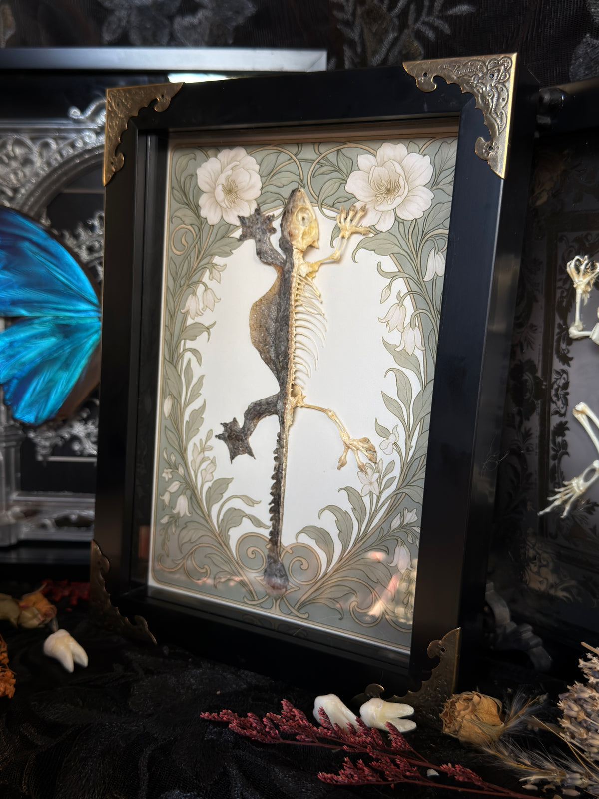 GEKKO KUHLI - Half Skeleton, Half Skin Gekko Frame
