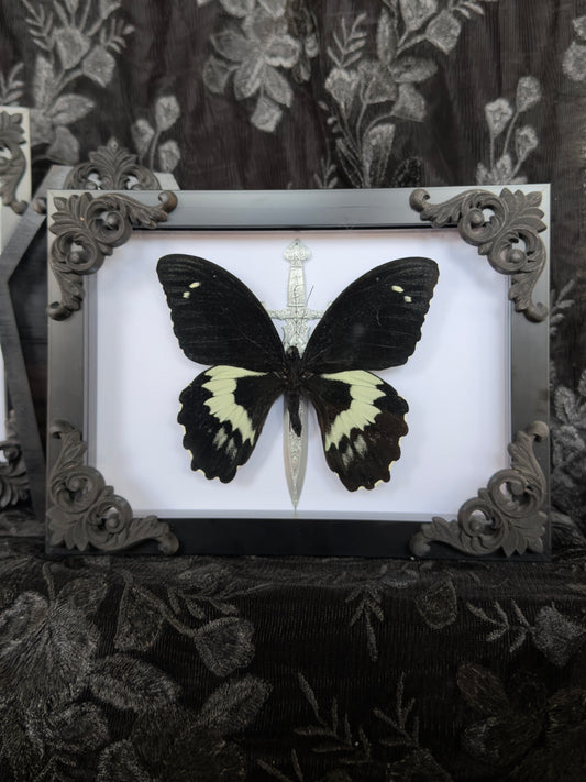 DARK KNIGHT - Mother of Hades Butterfly Frame
