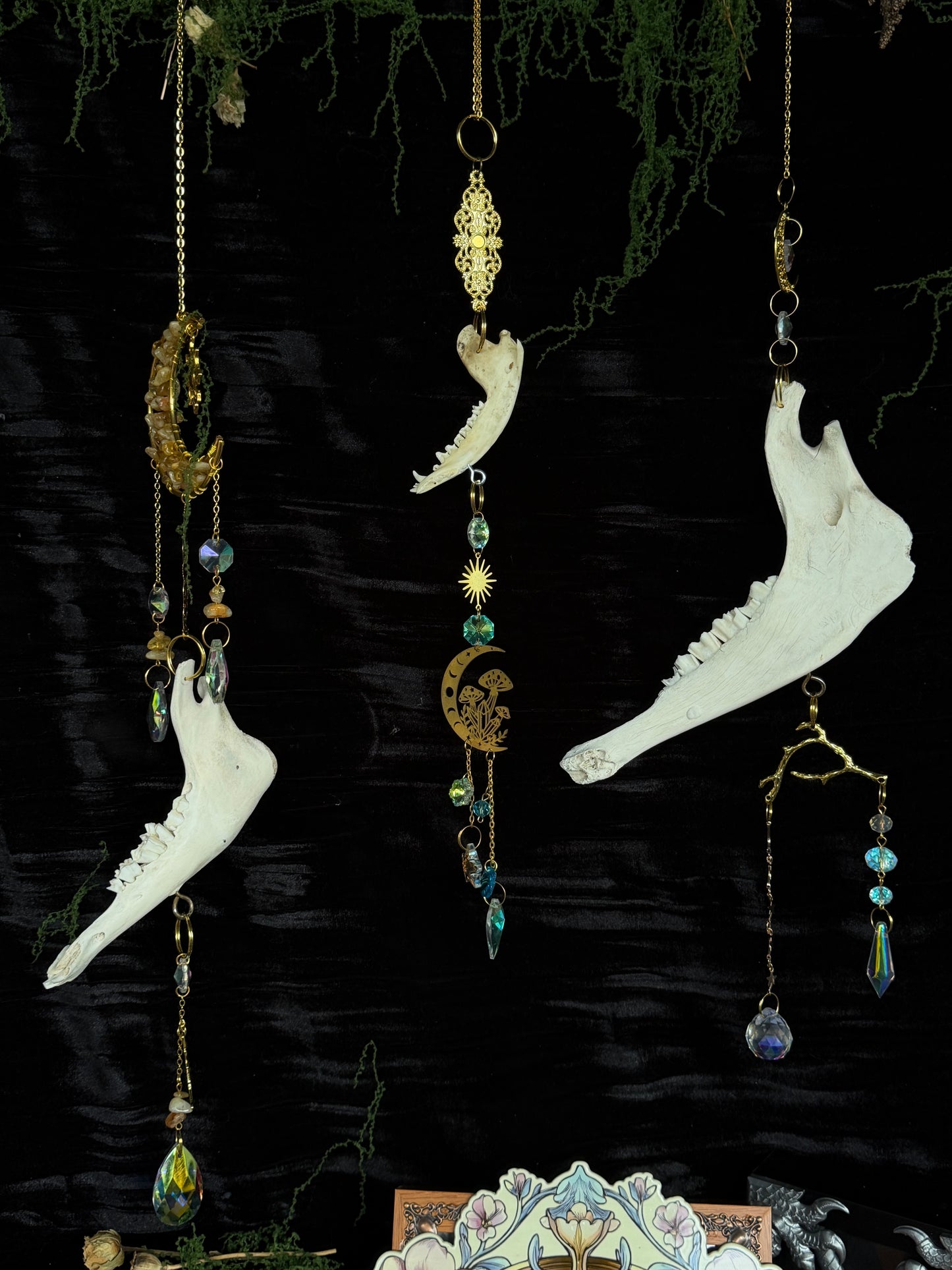 SHEEP MANDIBLE BONE SUN CATCHER