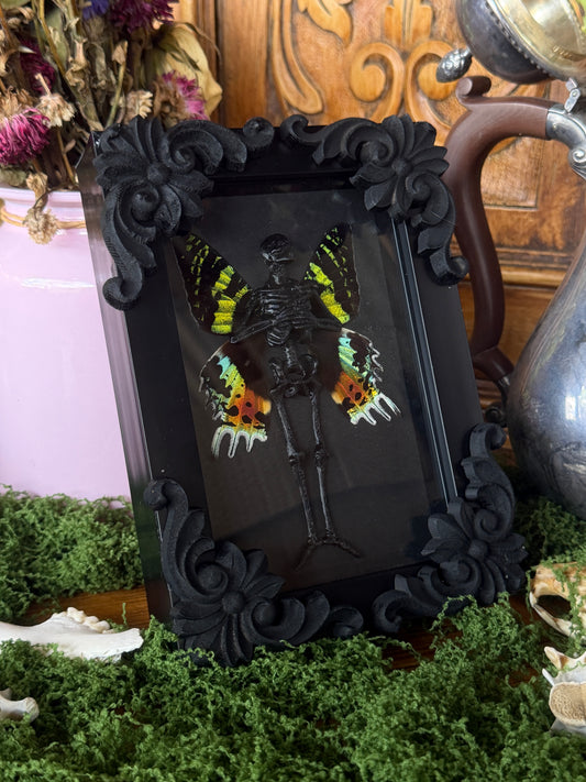 SUNSET MOTH FAIRY - Mother of Hades Dead Fairy Collection