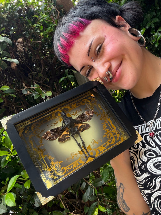 DEATH HEAD FAIRY - Mother of Hades Dead Fairy Collection