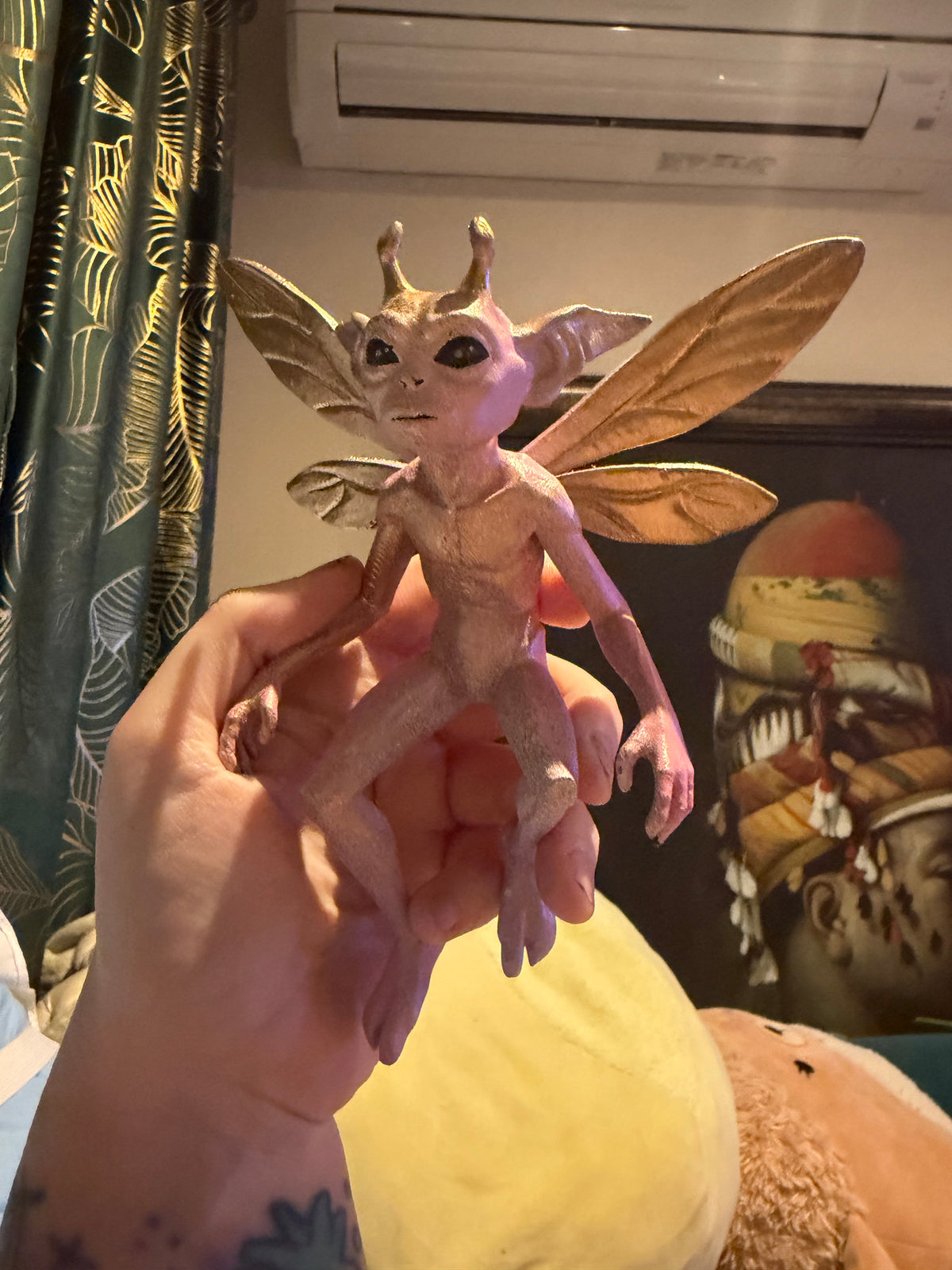 TOOTH FAIRY - Hatchling batch mini pixie