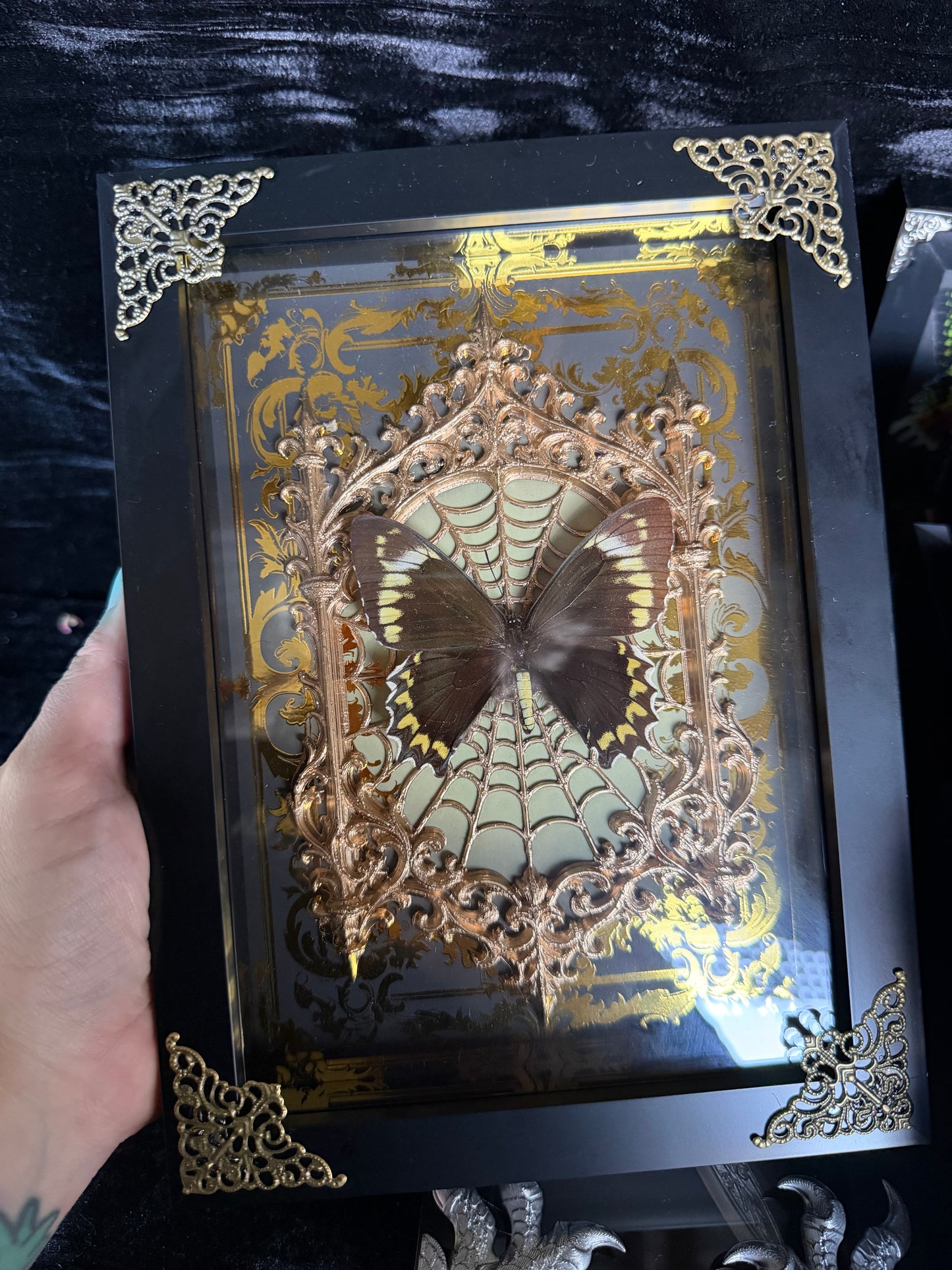 VINTAGE MISS OCTOBER - gold a5 specimen frame