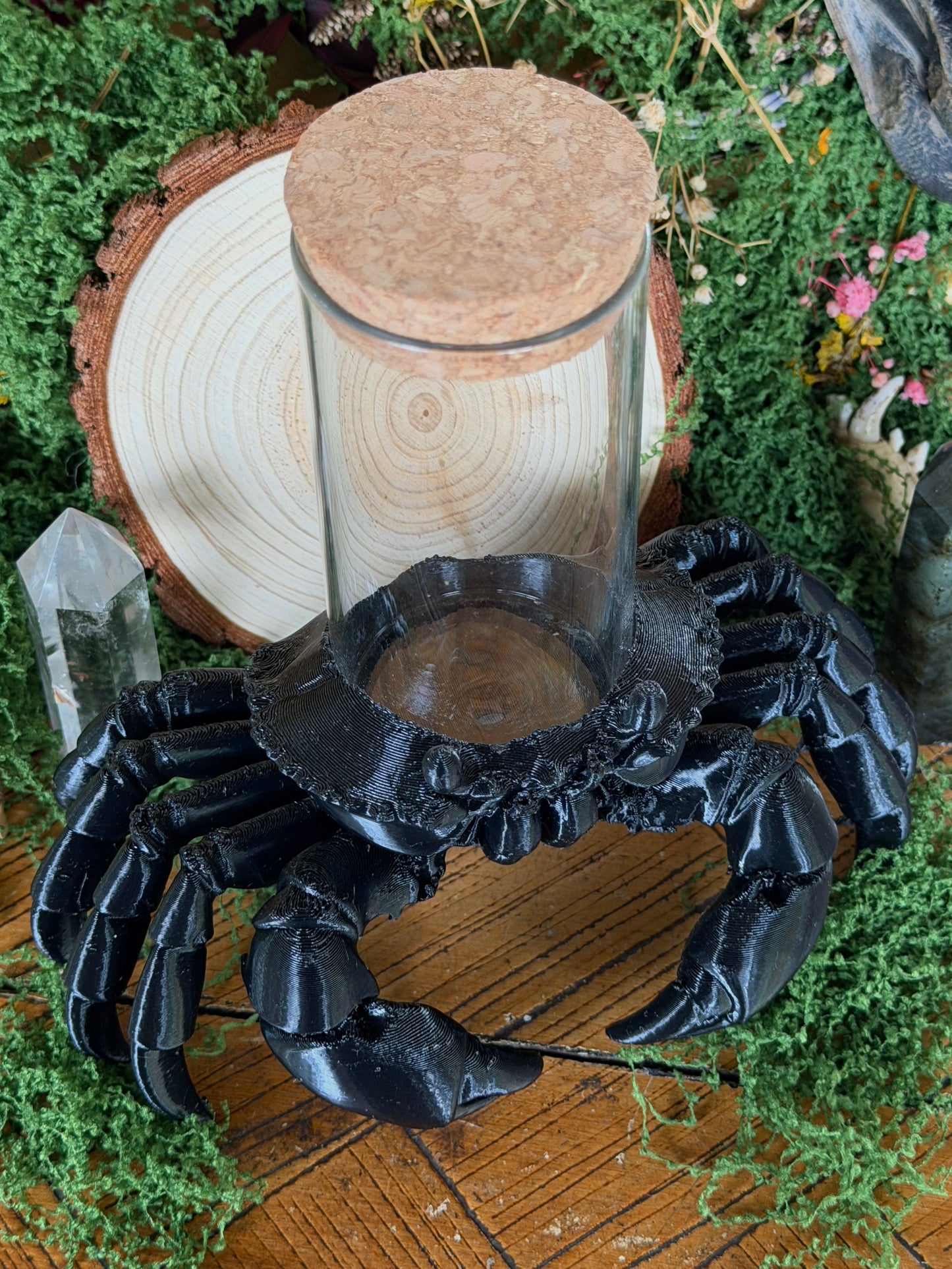 SOLDIER CRAB JAR CADDY - Empty Jar with Critter Caddy