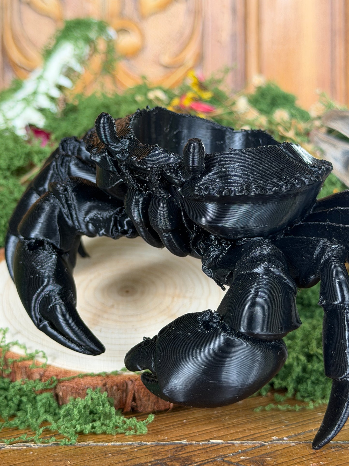 SOLDIER CRAB JAR CADDY - Empty Jar with Critter Caddy