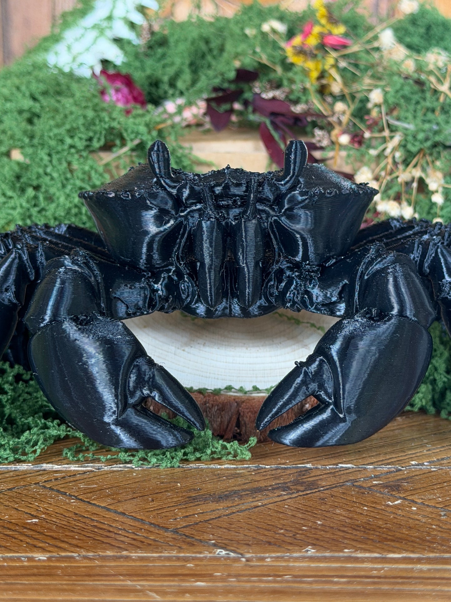 SOLDIER CRAB JAR CADDY - Empty Jar with Critter Caddy