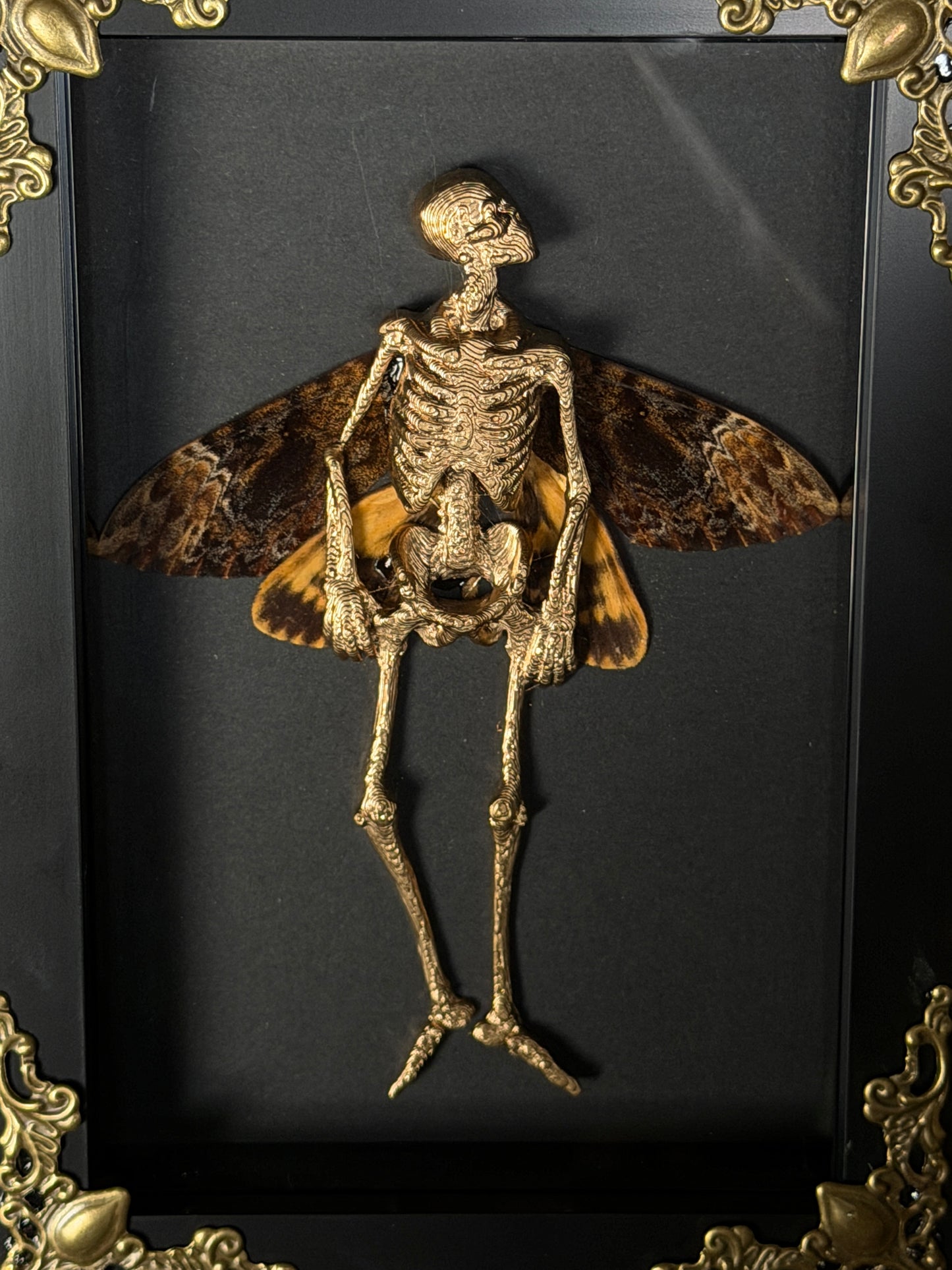 GOLD DEATH HEAD FAIRY - Mother of Hades Dead Fairy Collection