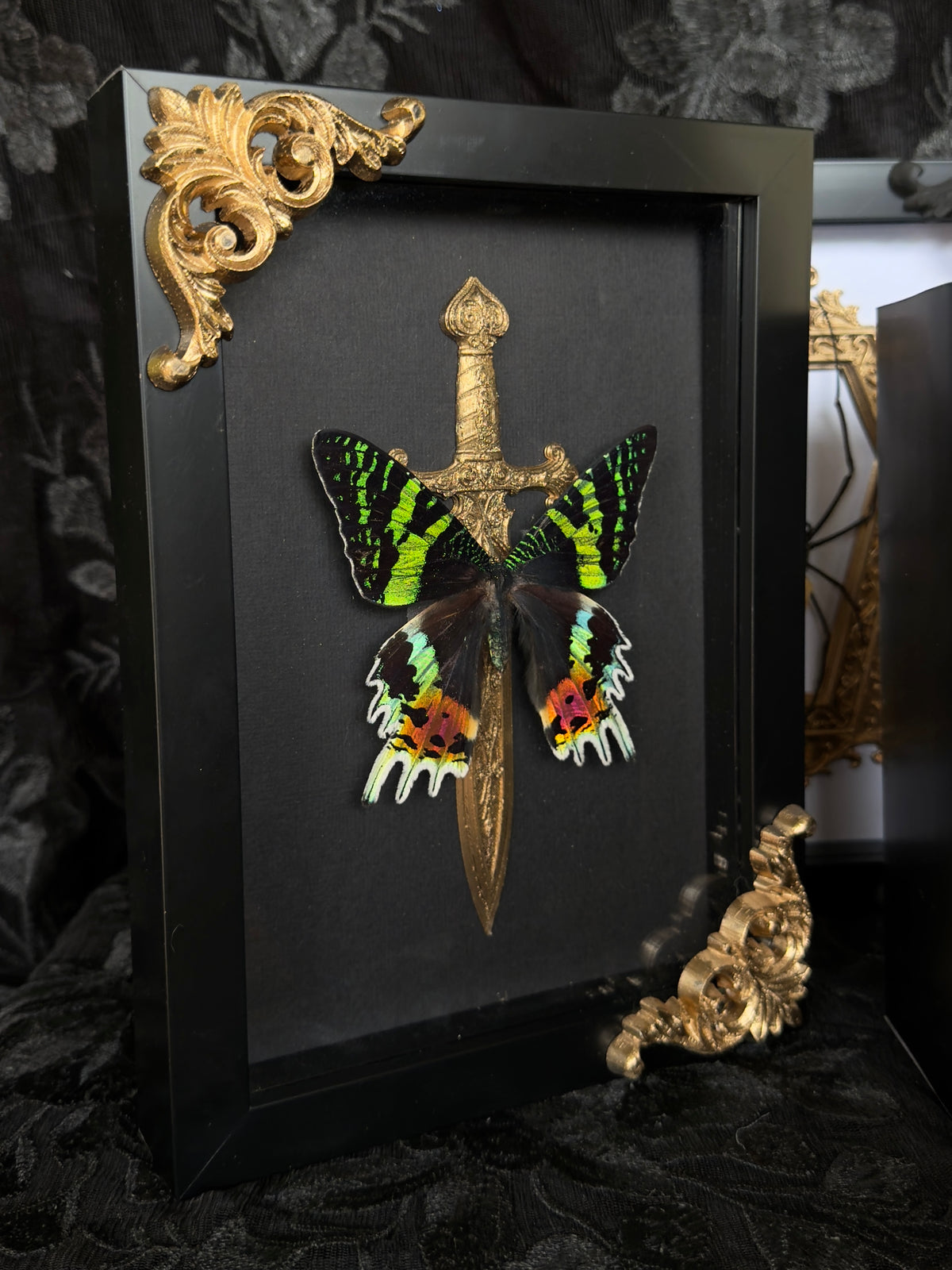 BY THE GOLDEN SWORD - Mother of Hades Butterfly Frame