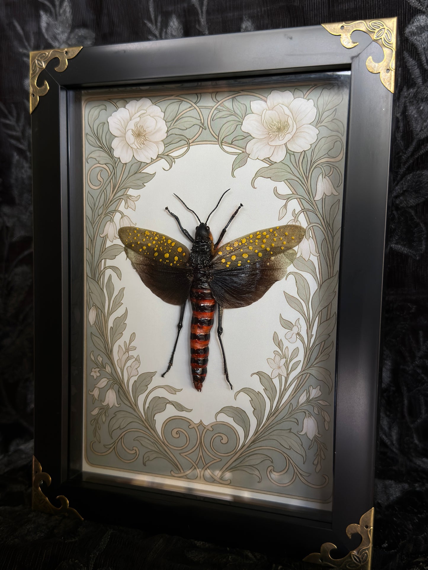 COFFEE LOCUST SHADOW BOX