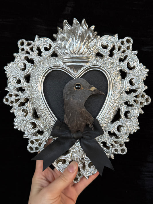 PIGEON HEAD - Silver Heart Mother of Hades Open Display Frame