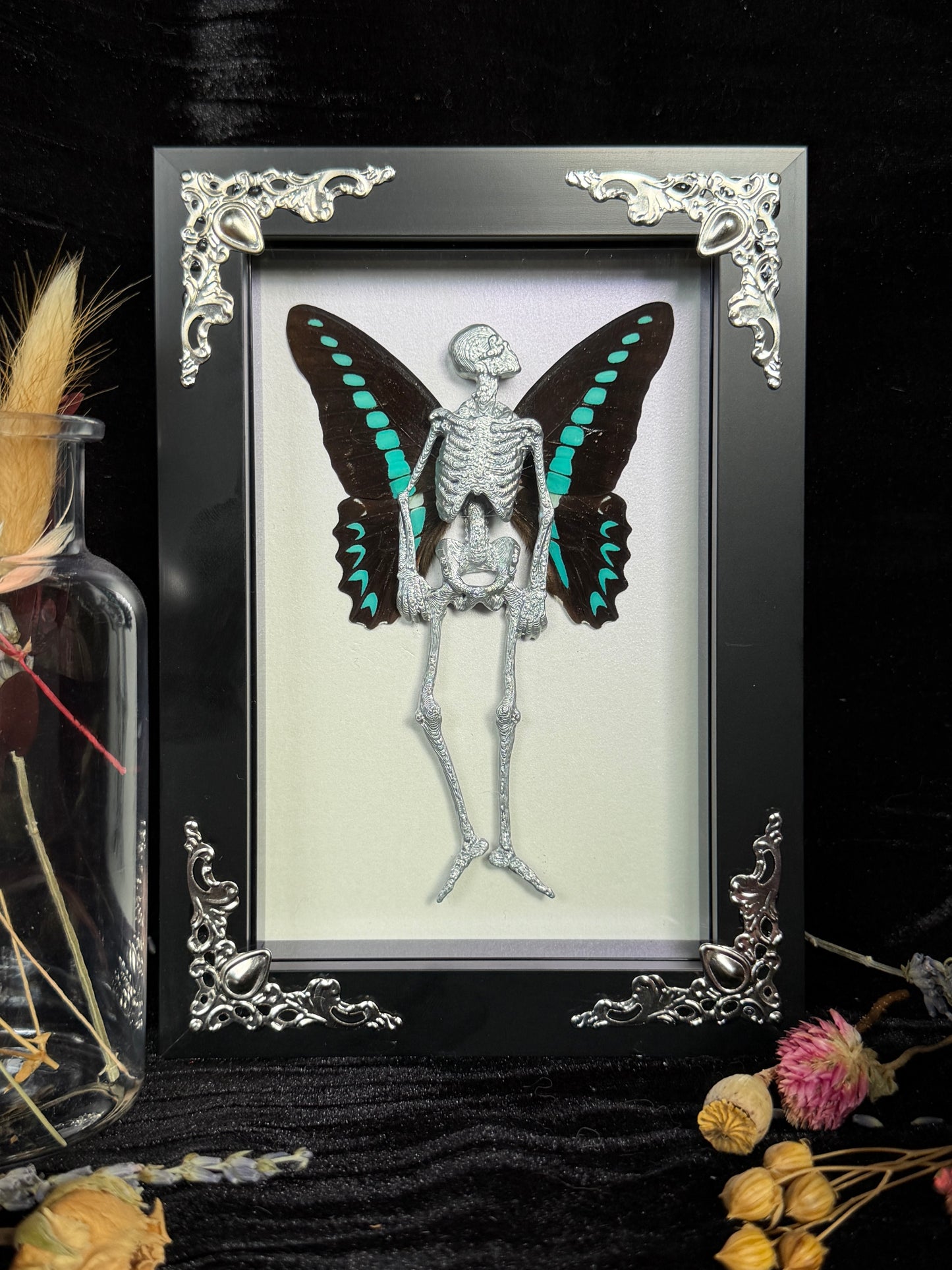 MILON’S SWALLOWTAIL FAIRY - Mother of Hades Dead Fairy Frame