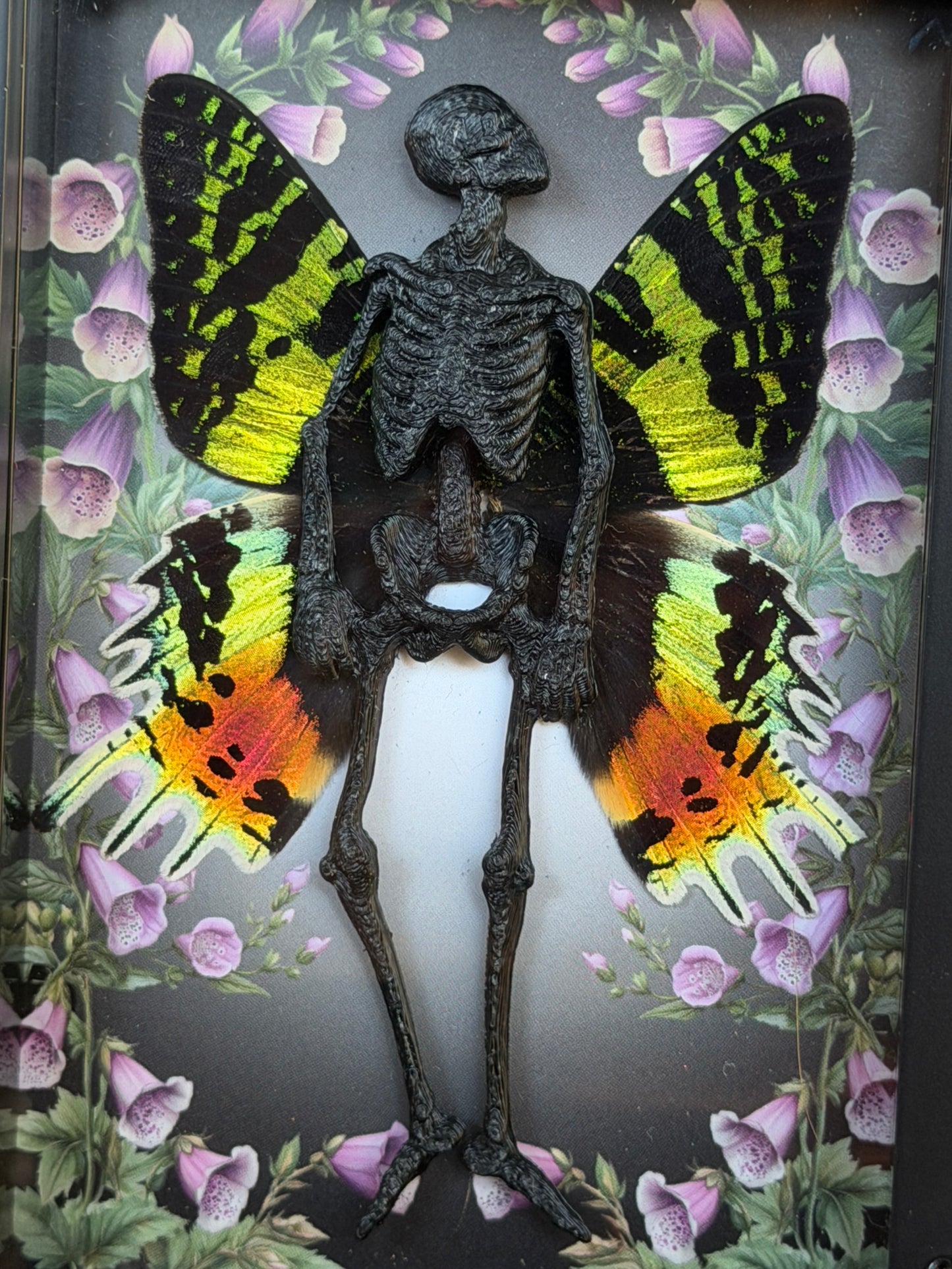 EVANGELINE FAIRY - Mother of Hades Dead Fairy Frame