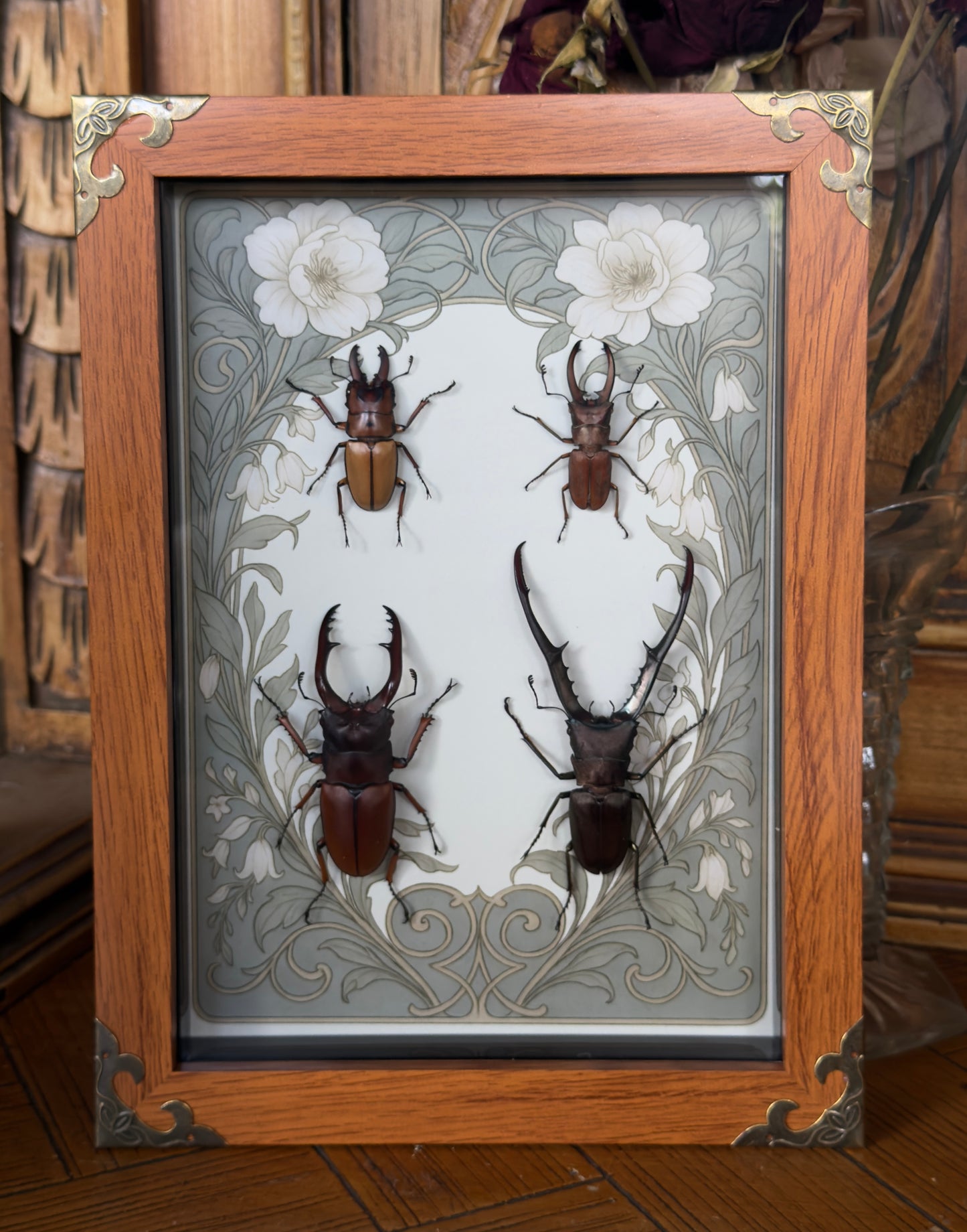 BEETLE QUAD framed specimens - name in description