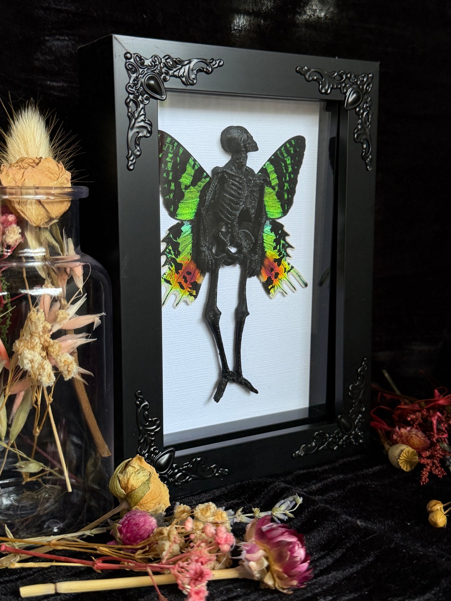 NOIR SUNSET MOTH FAIRY - Mother of Hades Dead Fairy Collection