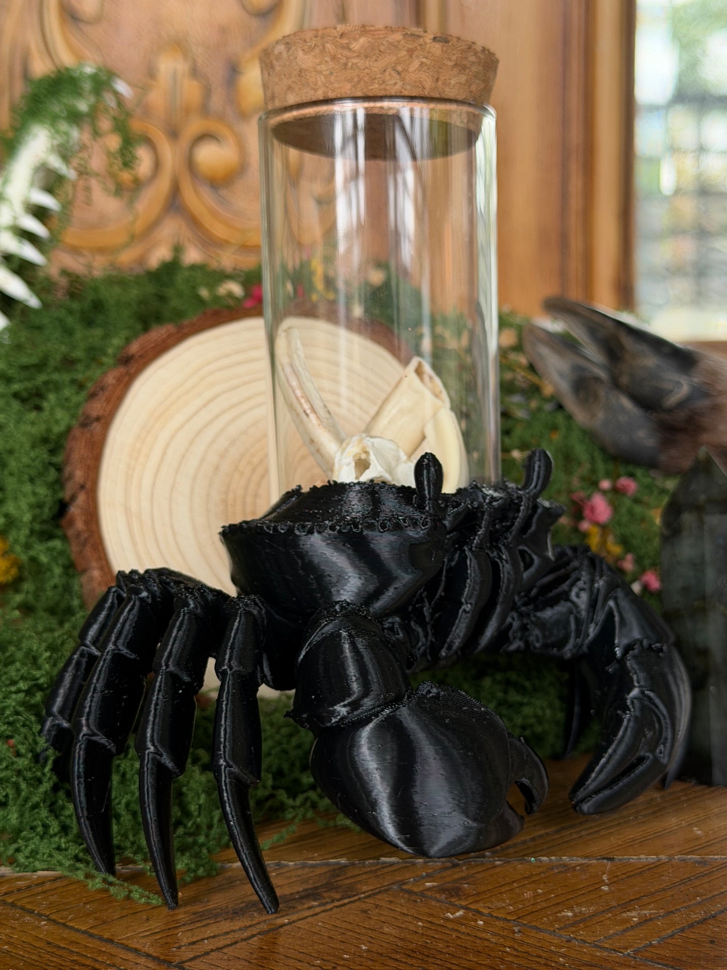 SOLDIER CRAB JAR CADDY - Empty Jar with Critter Caddy