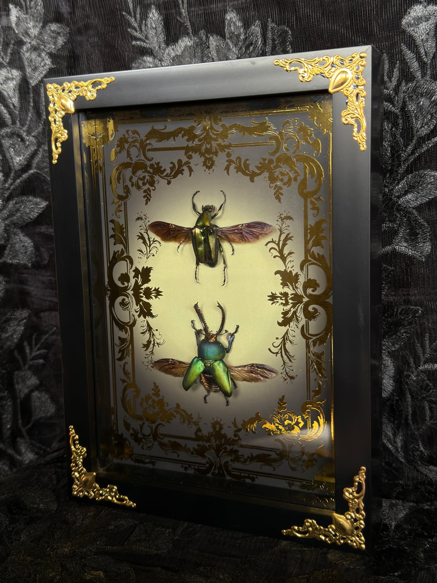 LAMPRINA JEWEL DUO SHADOW BOX