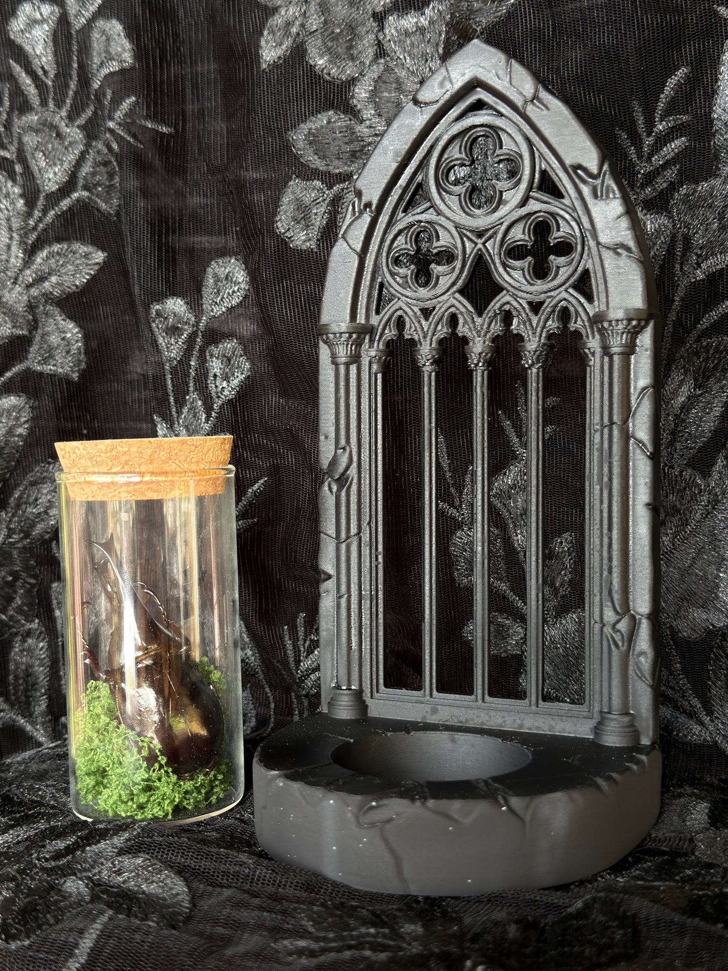 GOTHIC ARCH SPECIMEN COMBO