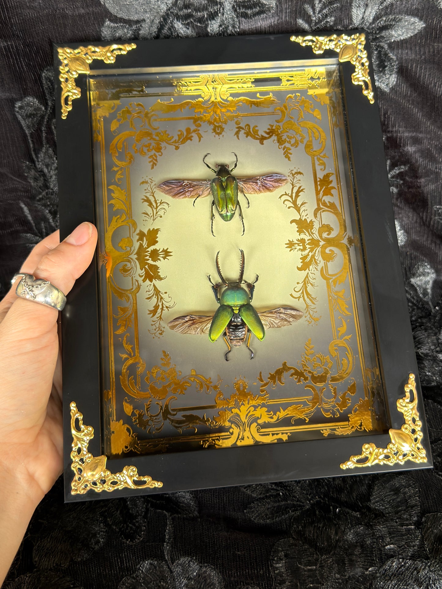 LAMPRINA JEWEL DUO SHADOW BOX