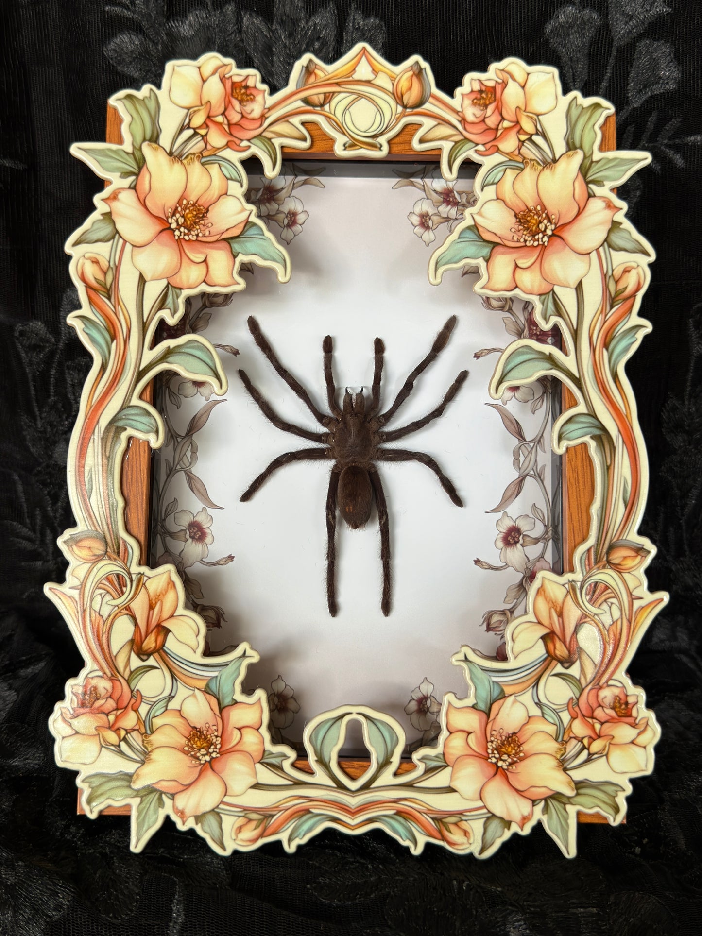 TARANTULA FLORAL FRONT SHADOW BOX