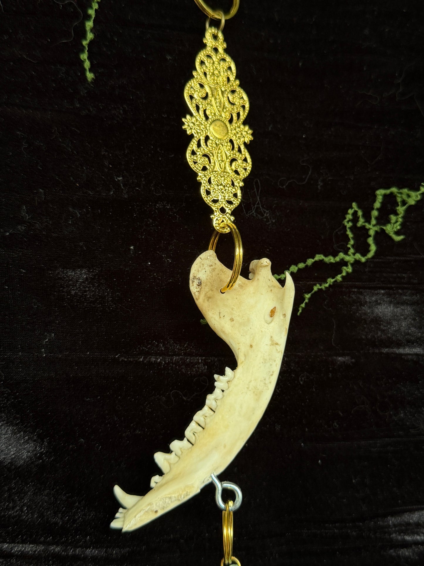 RACOON MANDIBLE BONE SUN CATCHER