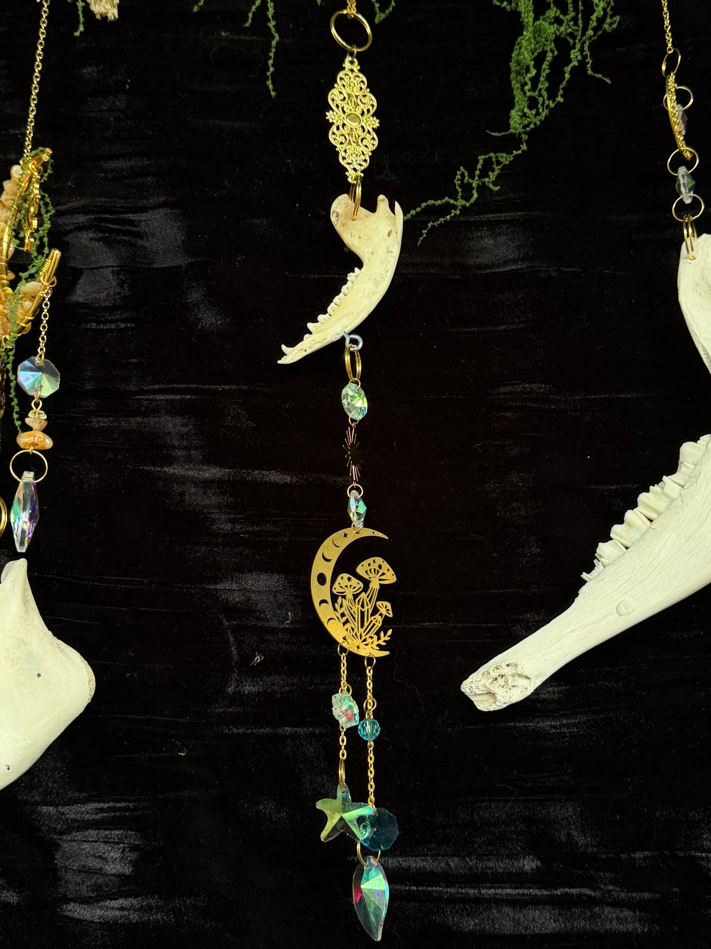 RACOON MANDIBLE BONE SUN CATCHER
