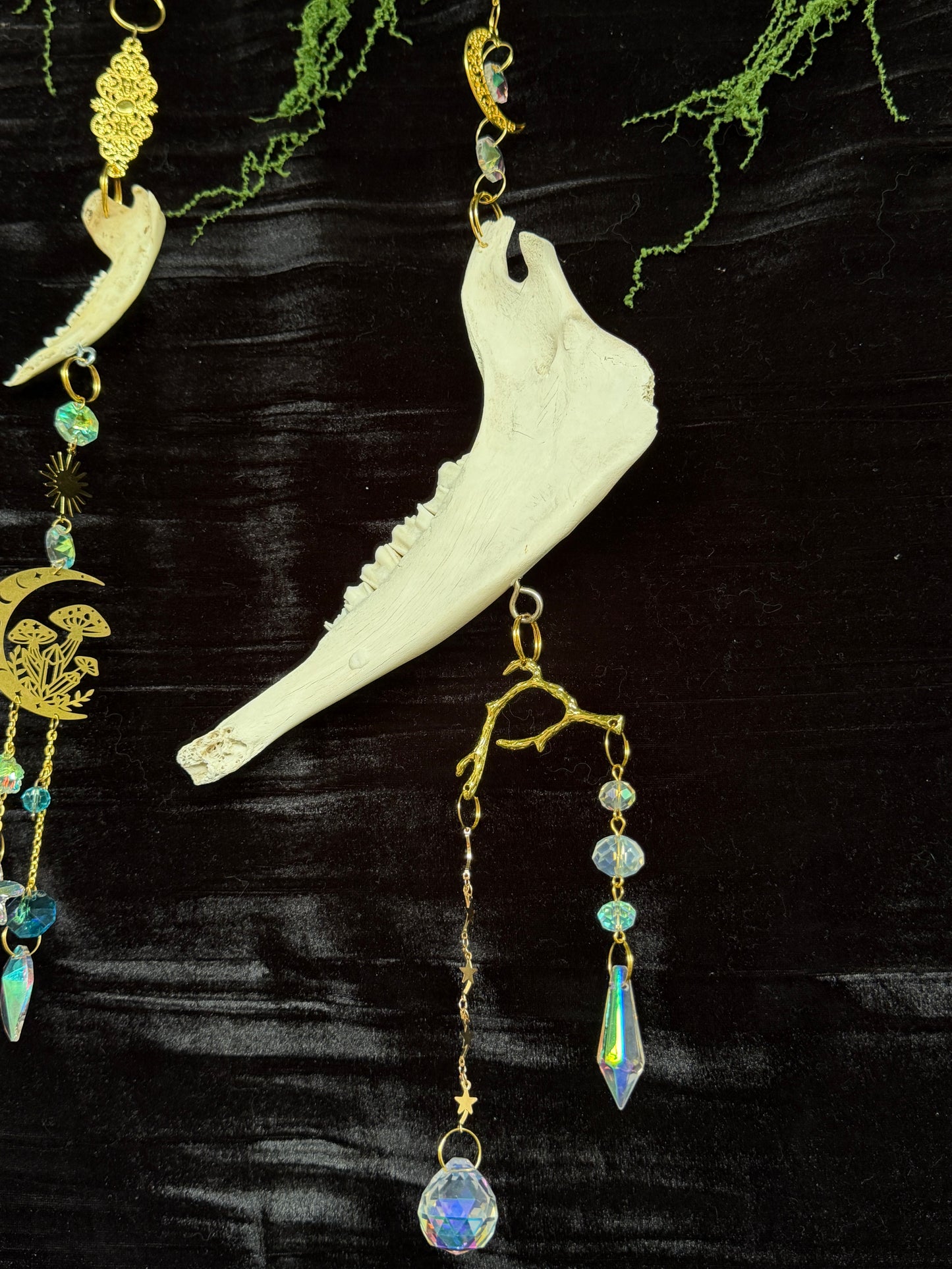 SHEEP MANDIBLE BONE SUN CATCHER
