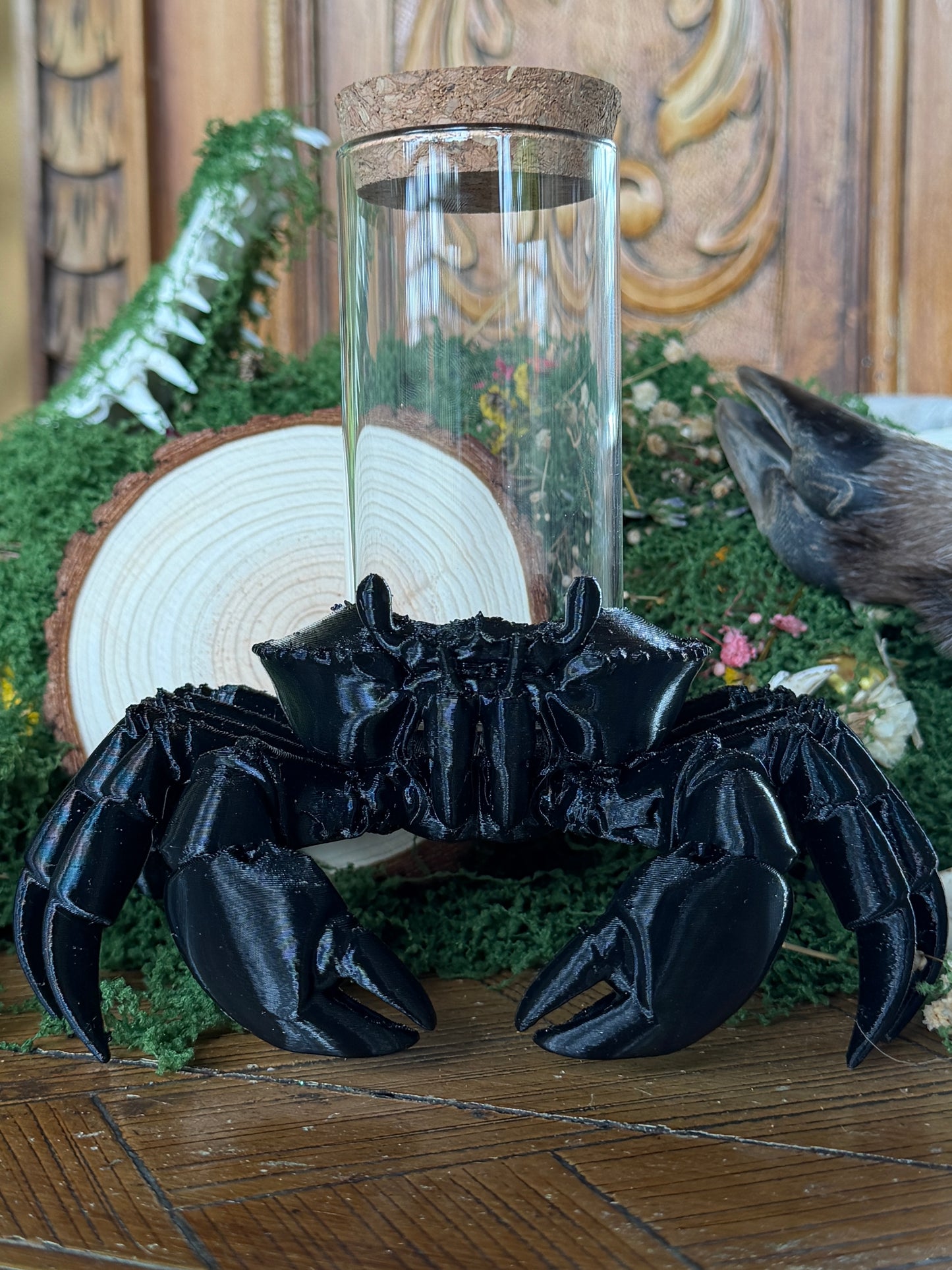 SOLDIER CRAB JAR CADDY - Empty Jar with Critter Caddy