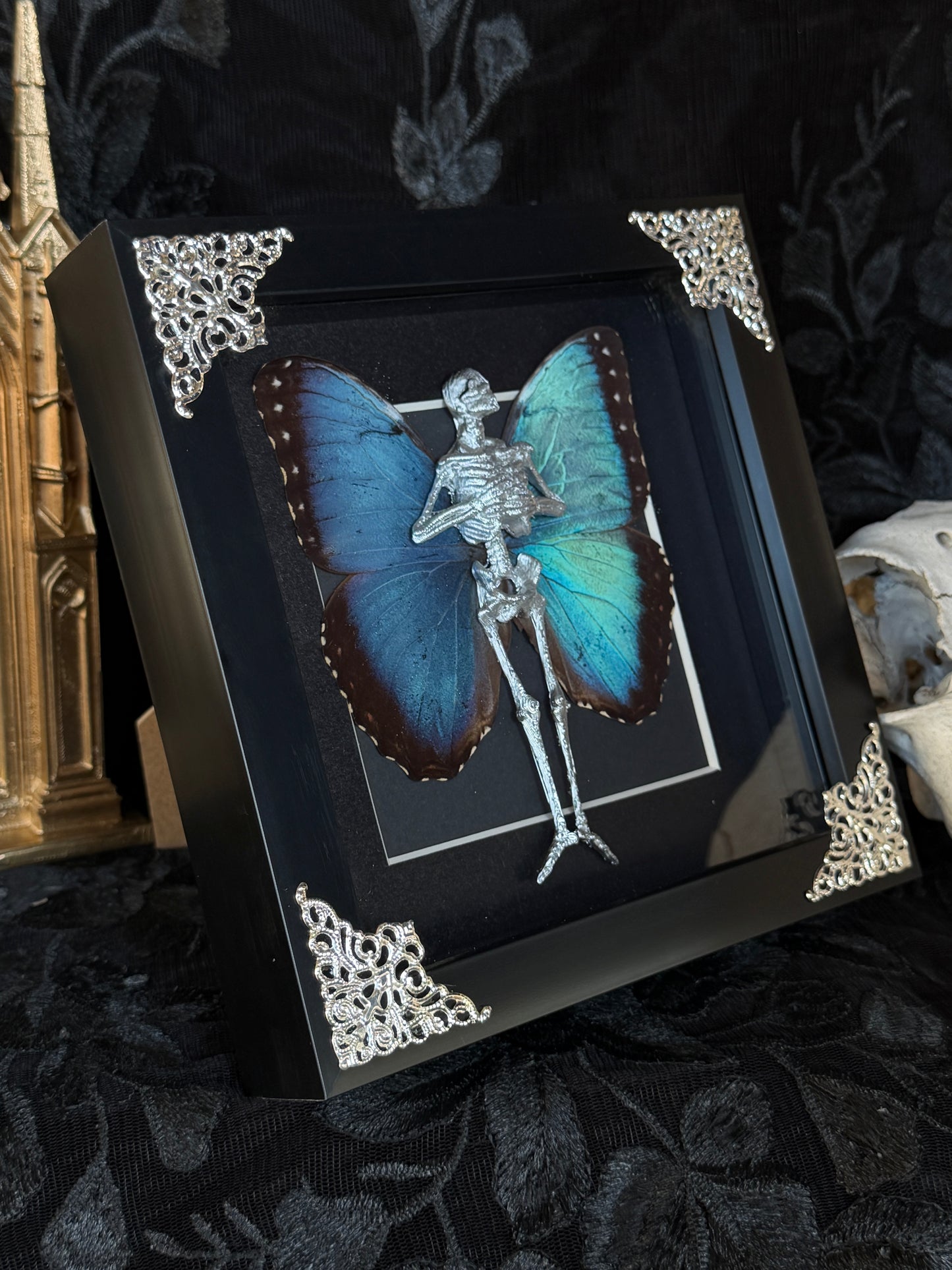 MORPHO FAIRY - Mother of Hades Dead Fairy Frame