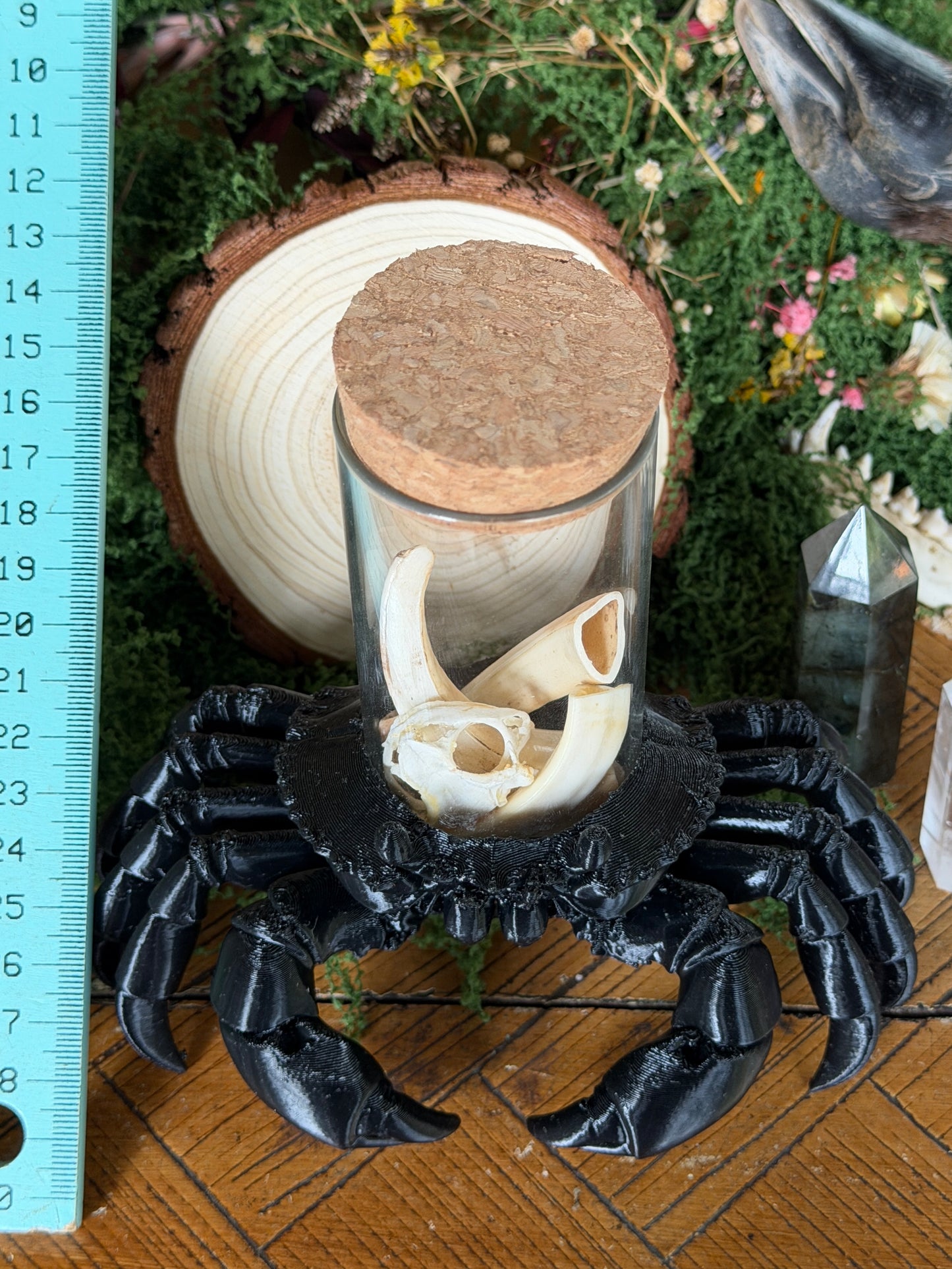 SOLDIER CRAB JAR CADDY - Empty Jar with Critter Caddy