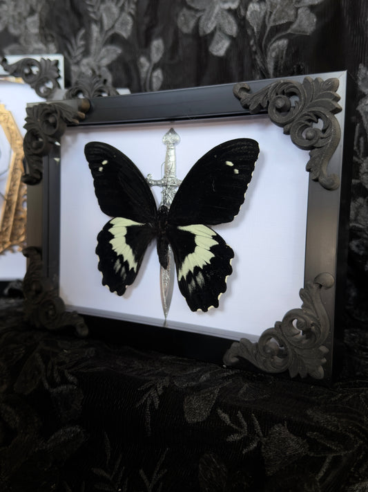 DARK KNIGHT - Mother of Hades Butterfly Frame