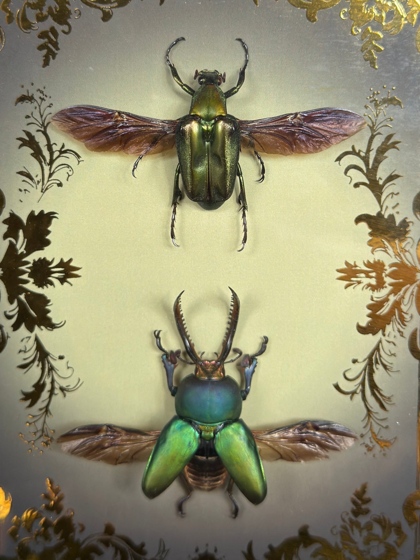 LAMPRINA JEWEL DUO SHADOW BOX