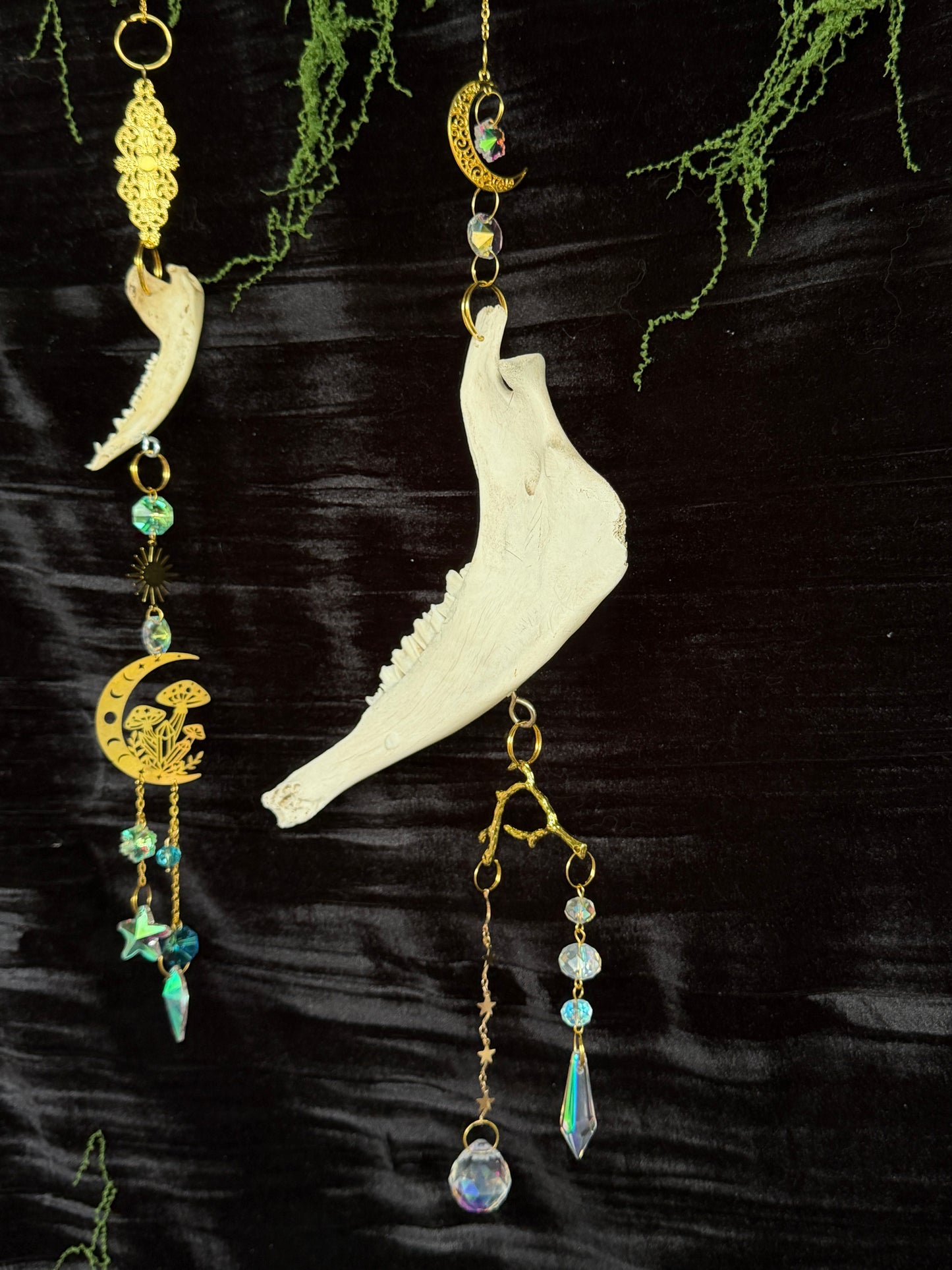 SHEEP MANDIBLE BONE SUN CATCHER