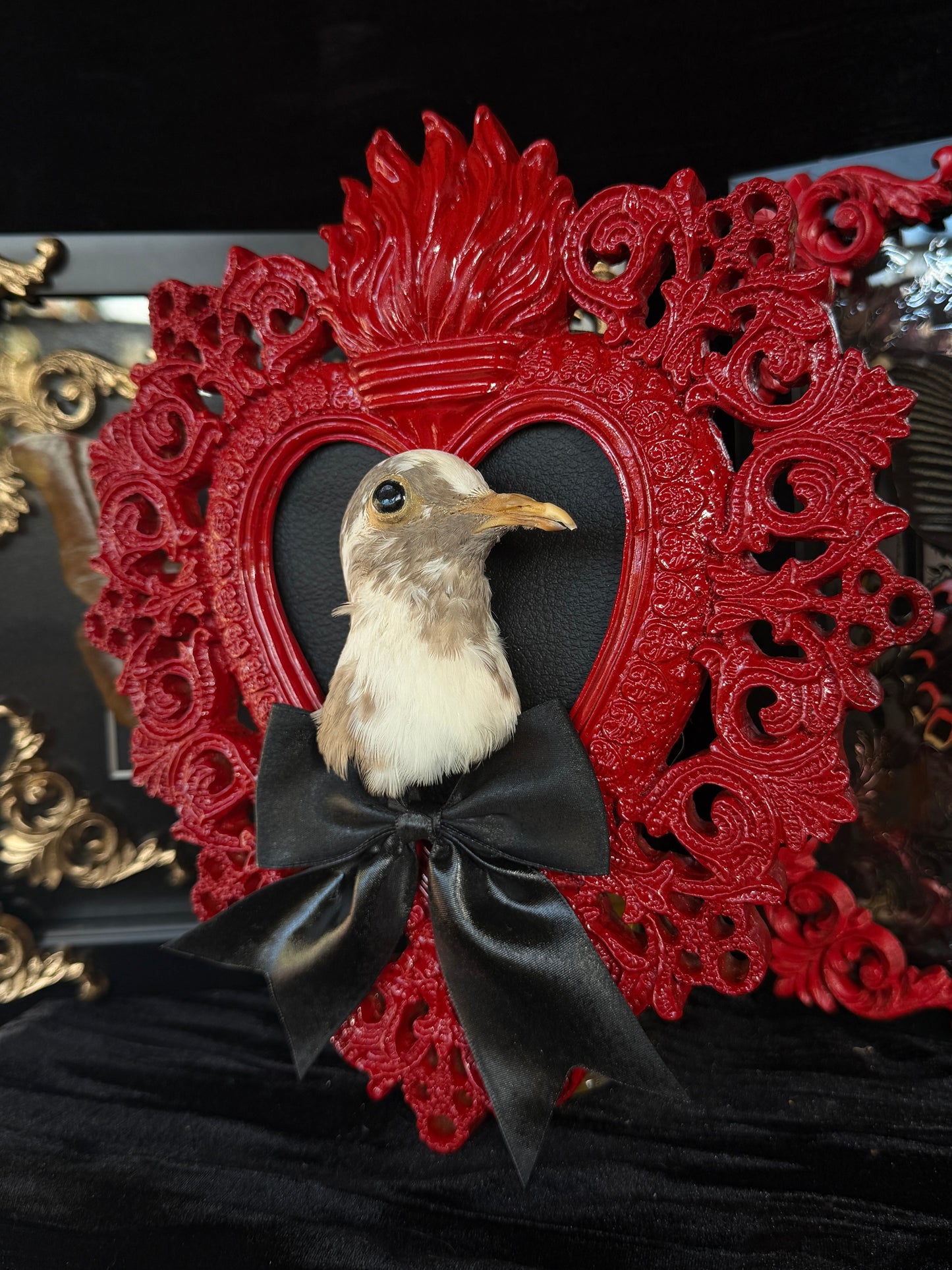 PIGEON HEAD - Mother of Hades Red Heart Open Display Frame