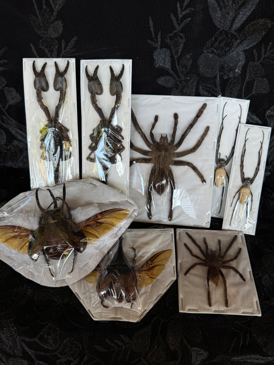 GOTH CRITTER PACK - destash pack