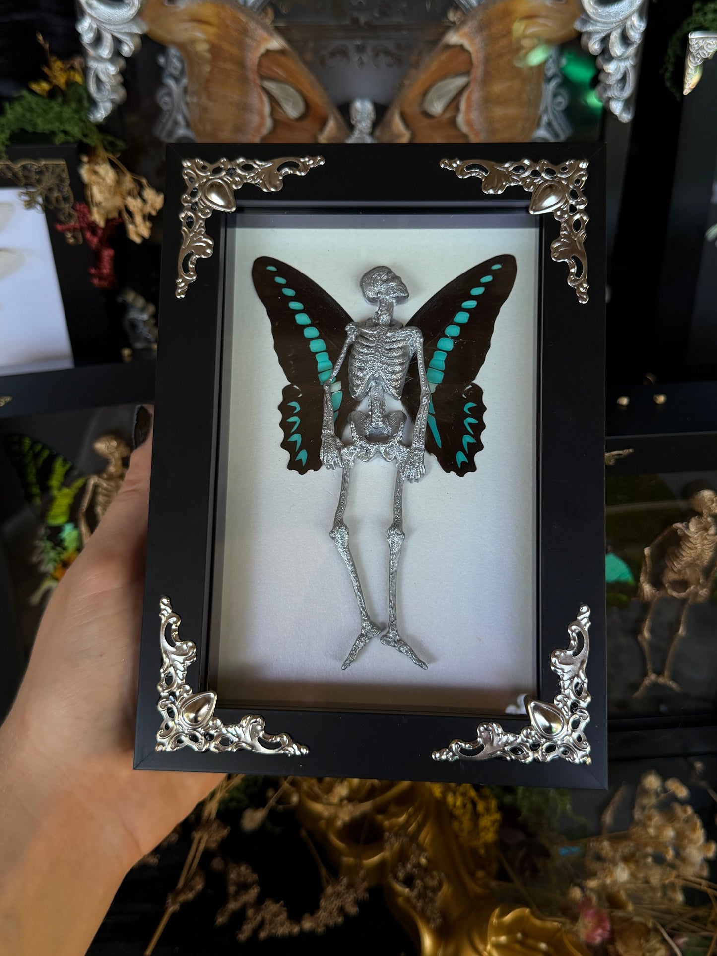 MILON’S SWALLOWTAIL FAIRY - Mother of Hades Dead Fairy Frame