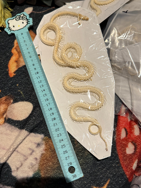 Bungarus candidus - Malayan krait custom set skeleton