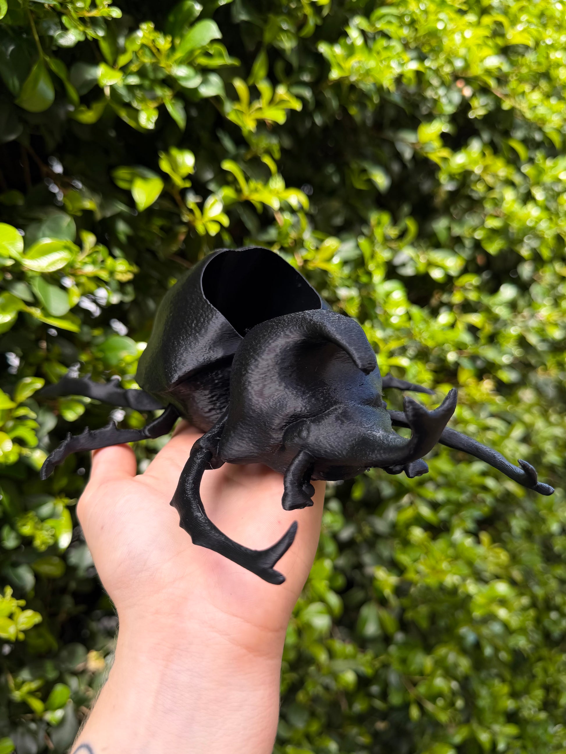 Black beetle-shaped container held by a hand against a green leafy background
